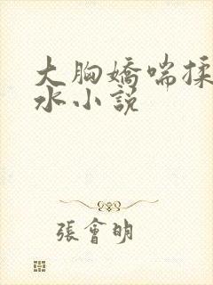 大胸娇喘揉捏奶水小说