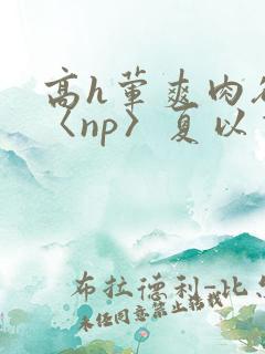 高h荤爽肉欲文〈np〉夏以昼