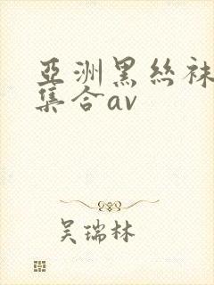 亚洲黑丝袜极品集合av