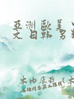 亚洲 欧美 中文 日韩 另类,丝袜