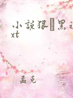 小说狠·黑道txt