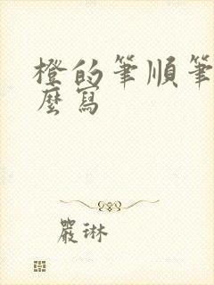 橙的笔顺笔画怎么写