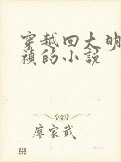 穿越回大明当崇祯的小说