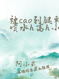 被cao到腿软喷水h高h小说