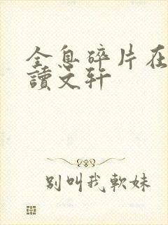 全息碎片在线阅读文轩