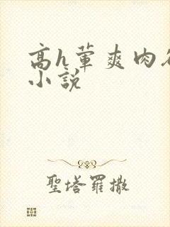 高h荤爽肉欲文小说