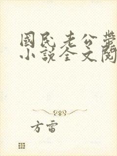 国民老公带回家小说全文阅读