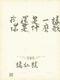 我还是一样喜欢你是什么歌的歌词