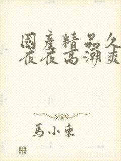 国产精品久久久夜夜高潮爽爽爽