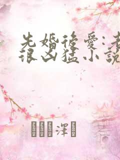 先婚后爱:老公很凶猛小说全文免费