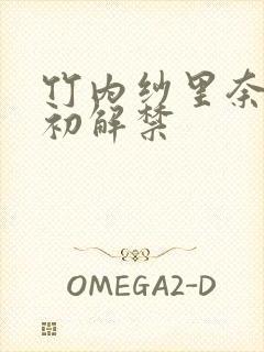 竹内纱里奈黑人初解禁