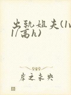 出轨姐夫(1v1/高h)