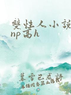 双性人小说纯肉np高h