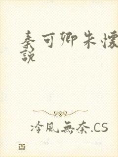 秦可卿朱怀镜小说