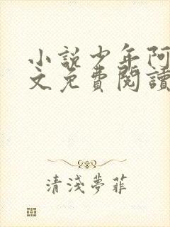 小说少年阿斌全文免费阅读