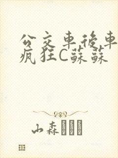 公交车后车座的疯狂C苏苏