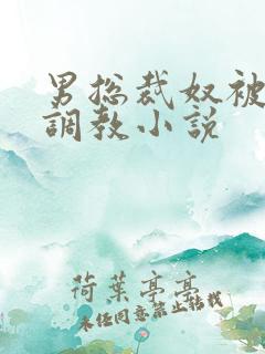 男总裁奴被绳绑调教小说