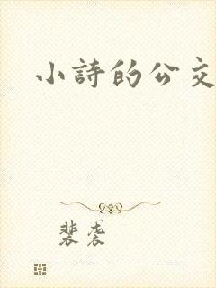 小诗的公交车