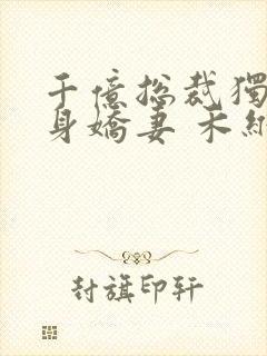 千亿总裁独宠替身娇妻 禾维