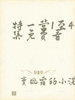特一营1至40集免费看