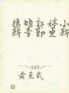 杨明许婷小说最新章节更新时间