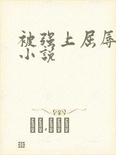 被强上屈辱少妇小说