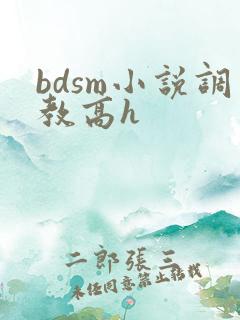 bdsm小说调教高h