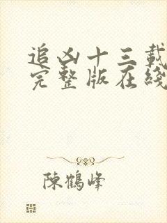 追凶十三载免费完整版在线看电视剧