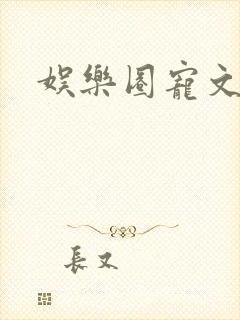 娱乐圈宠文推荐