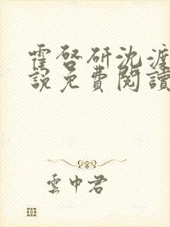 霍启研沈渡云小说免费阅读最新章节