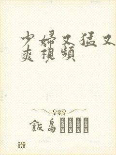 少妇又猛又进又爽视频