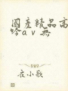 国产精品高潮呻吟aⅴ无