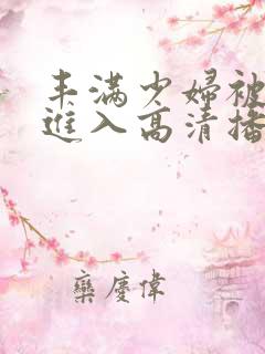 丰满少妇被猛烈进入高清播放