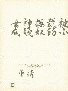 女神总裁被调教成贱奴的小说