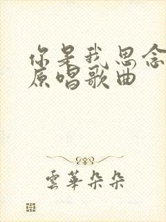 你是我思念的人原唱歌曲