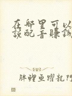 在哪里可以给小说配音赚钱