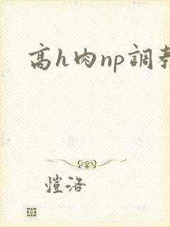 高h肉np调教