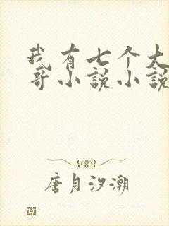 我有七个大佬哥哥小说小说
