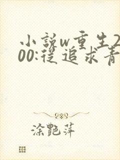 小说w重生2000:从追求青涩校花同桌开始,