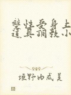 双性受身上带满道具调教小说