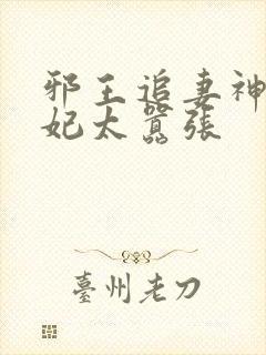 邪王追妻神医狂妃太嚣张