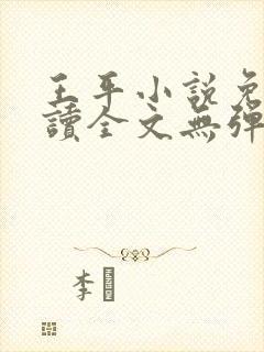 王平小说免费阅读全文无弹窗