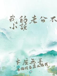 我的老公不靠谱小说