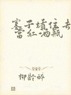 塞子堵住去上学 当红酒瓶