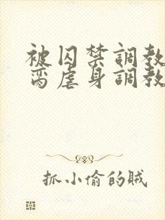 被囚禁调教成禁脔虐身调教双男主