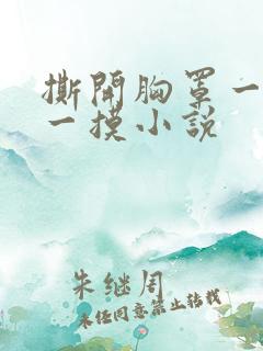 撕开胸罩一边亲一摸小说