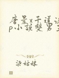 唐晨x千道流cp小说双男主