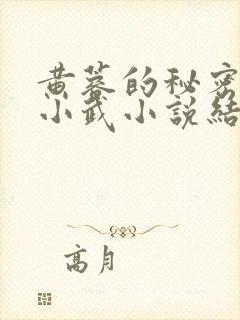 黄蓉的秘密大武小武小说结局