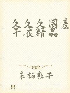 久久久国产综合午夜精品