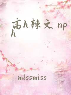高h辣文 nph